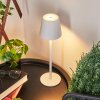 Allen Tafellamp voor buiten LED Wit, 1-licht