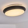 Caucete Buitenshuis plafond verlichting LED Zwart, 1-licht