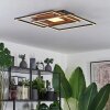 Panqueua Plafondlamp LED Bruin, Zwart, 1-licht, Afstandsbediening