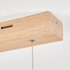 Mixto Hanglamp LED Natuurlijke kleuren, 1-licht