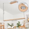 Mixto Hanglamp LED Natuurlijke kleuren, 1-licht