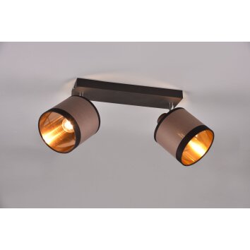 Reality DAVOS Plafondlamp Taupe, 2-lichts