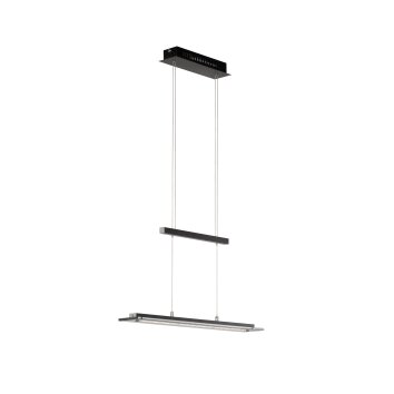 Fischer & Honsel Tenso TW Hanglamp LED Zwart, 1-licht