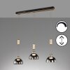 Fischer & Honsel Avignon Hanglamp LED Zwart, 3-lichts