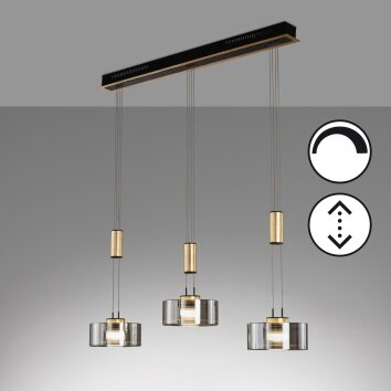 Fischer & Honsel Lavin Hanglamp LED Zwart, 3-lichts