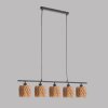 Fischer & Honsel Hyazinthe Hanglamp Zwart, 5-lichts