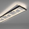 Paul Neuhaus MAILAK Plafondlamp LED Zwart, Wit, 2-lichts