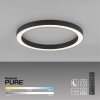 Paul Neuhaus PURE-LINES Plafondlamp LED Antraciet, 1-licht, Afstandsbediening