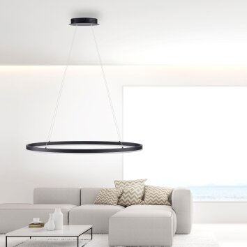 Paul Neuhaus TITUS Hanglamp LED Antraciet, 1-licht