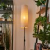 Pomancillo Staande lamp Zwart, 1-licht