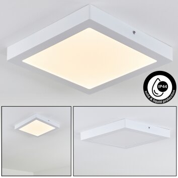 Leto Buitenshuis plafond verlichting LED Wit, 1-licht