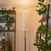 Coquimbito Staande lamp LED Nikkel mat, 2-lichts