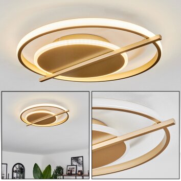 Evolene Plafondlamp LED Goud, 1-licht