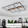 Nganbeto Plafondlamp LED houtlook, Zwart, 1-licht