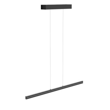 Steinhauer Bande Hanglamp LED Zwart, 4-lichts