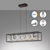 Fischer & Honsel Gian Hanglamp LED Zwart, 1-licht, Afstandsbediening