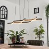 Fuliola Hanglamp LED Zwart, 1-licht