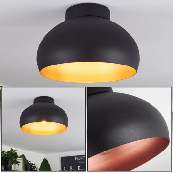 Guayo Plafondlamp Zwart, 1-licht