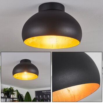 Guayo Plafondlamp Zwart, 1-licht