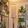 Coquimbito Staande lamp LED Zwart, 1-licht