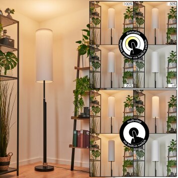 Coquimbito Staande lamp LED Zwart, 1-licht