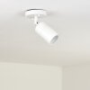 Aketohoin Buitenshuis plafond verlichting LED Wit, 1-licht