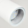 Aketohoin Buitenshuis plafond verlichting LED Wit, 1-licht