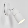 Aketohoin Buiten muurverlichting LED Wit, 1-licht