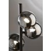 Fischer & Honsel Bala Staande lamp LED Zwart, 5-lichts