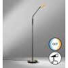 Fischer & Honsel Dent Staande lamp LED Zwart, 1-licht