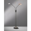 Fischer & Honsel Dent Staande lamp LED Zwart, 2-lichts