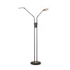 Fischer & Honsel Dent Staande lamp LED Zwart, 2-lichts