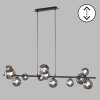 Fischer & Honsel Bala Hanglamp LED Zwart, 12-lichts