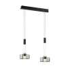 Fischer & Honsel Lavin Hanglamp LED Zwart, 2-lichts