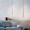 Paul Neuhaus FLUTE Hanglamp LED Goud, 1-licht