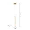 Paul Neuhaus FLUTE Hanglamp LED Goud, 1-licht