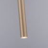 Paul Neuhaus FLUTE Hanglamp LED Goud, 1-licht