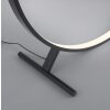 Paul Neuhaus HULA Staande lamp LED Zwart, 1-licht, Afstandsbediening