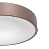 Steinhauer Ringlede Plafondlamp, 1-licht