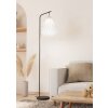 Eglo MINTING Staande lamp Zwart, 1-licht