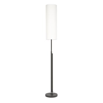 Coquimbito Staande lamp LED Antraciet, 2-lichts