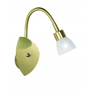 Trio 8161 Muurlamp Messing, 1-licht