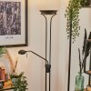 Biot Staande lamp LED Zwart, 2-lichts