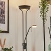 Biot Staande lamp LED Zwart, 2-lichts