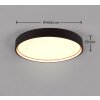 Trio DOHA Plafondlamp LED Zwart, 1-licht