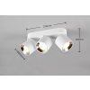 Trio GUAYANA plafondlamp Wit, 3-lichts