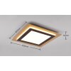 Trio MORGAN Plafondlamp LED Goud, Zwart, 1-licht, Afstandsbediening