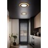 Trio MORGAN Plafondlamp LED Goud, Zwart, 1-licht, Afstandsbediening