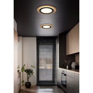 Trio MORGAN Plafondlamp LED Goud, Zwart, 1-licht, Afstandsbediening