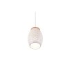 Reality BIDAR Hanglamp Natuurlijke kleuren, Wit, 1-licht